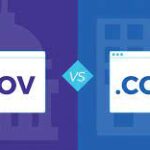 Government Websites